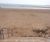 ASF Exmouth post and rail system 2