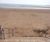 Stainless steel handrailing for Exmouth Beach 2