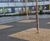 DekorGrip Tree Surrounds - resin bound tree pit system 4