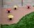 DekorGrip Rubber Crumb safety surfacing system 6