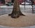 DekorGrip Tree Surrounds - resin bound tree pit system 5