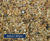 DekorGrip Resin Bound surfacing 7