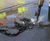 Meon supplies road repair products for busy authorities 1