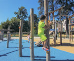 Proludic’s Ongoing Commitment to a Greener Future
