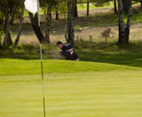 PM 13 Fescue Green grass seed mix for greens, tees and fairways - on this page