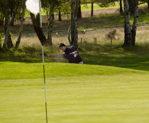 PM 13 Fescue Green grass seed mix for greens, tees and fairways