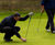 PM 15 Green Allbent seed mixture for greens renovation 0