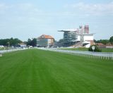Renovation of turf at York Racecourse - on this page