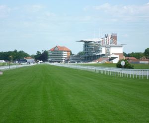 Renovation of turf at York Racecourse