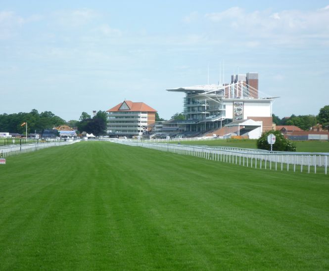Renovation of turf at York Racecourse
