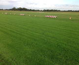 DLF helps improve Manchester's all-grass City Airport - on this page