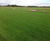 DLF helps improve Manchester's all-grass City Airport 0