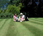PM 29 All Season drought-tolerant landscaping grass seed mix