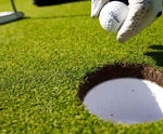 PM 10 Traditional Green grass seed for golf and bowling greens