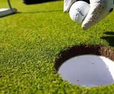 PM 10 Traditional Green grass seed for golf and bowling greens