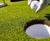 PM 10 Traditional Green grass seed for golf and bowling greens 0