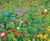 Colour Boost Carnival - high-impact wildflower mixture 1