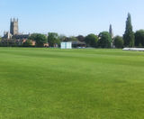 Grass seed, cricket wickets and outfields, King's School - on this page