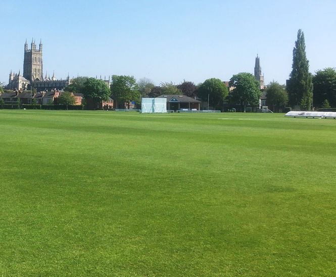 Grass seed, cricket wickets and outfields, King's School