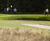 PM 25 Grow-slow low-maintenance grass seed mix 0
