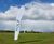 DLF Seeds joins The Amenity Forum 0
