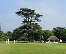 Goodwood Estate relies on DLF Seeds portfolio