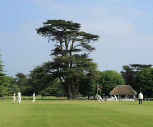 Goodwood Estate relies on DLF Seeds portfolio