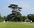 Goodwood Estate relies on DLF Seeds portfolio 0
