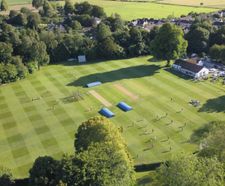 Sports surface consultancy relies on DLF seeds