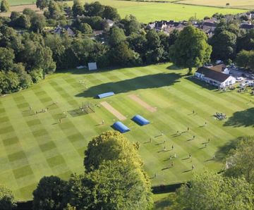 Sports surface consultancy relies on DLF seeds