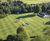 Sports surface consultancy relies on DLF seeds 0