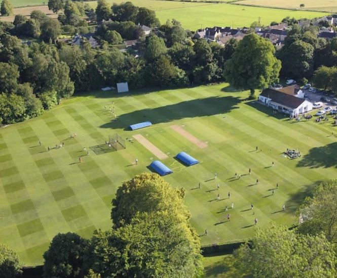 Sports surface consultancy relies on DLF seeds
