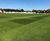 Sports surface consultancy relies on DLF seeds 1