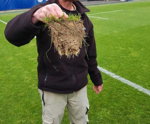 Plan ahead with 4turf® for spring and summer droughts