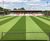 Premier grass seed improves resilience at Stevenage FC 0