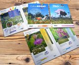 New Pro Flora and Colour Boost wild flower catalogues - on this page