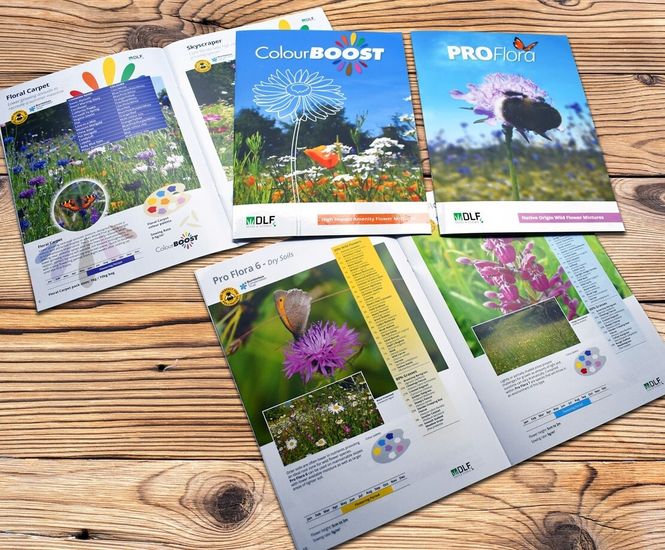 New Pro Flora and Colour Boost wild flower catalogues