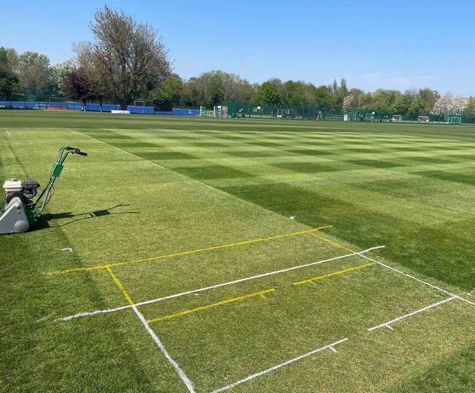 Masterline seeds for Kingston Grammar School pitches