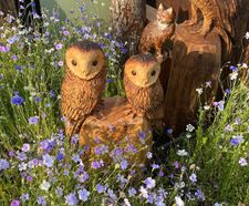 Wildflower mix adds boost of colour at RHS Flower Show