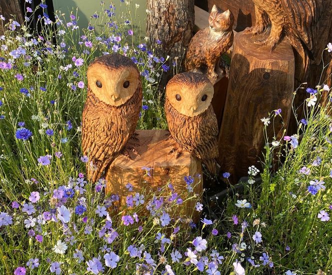 Wildflower mix adds boost of colour at RHS Flower Show