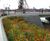 Textomur reinforced soil geogrid 6