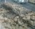 Gabion retaining wall for Horfield Cutting 4