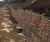 Welded mesh gabion wall retains flood basin and hedge 0
