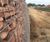 Welded mesh gabion wall retains flood basin and hedge 2