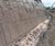 Soil nailed slope for University construction site 0