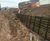 Permacrib timber retaining wall for new primary school  3