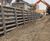 Andacrib concrete retaining wall - Kingston Hospital 0