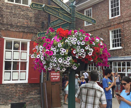 Holestar planters for lamp-posts and columns