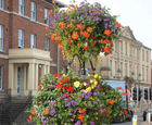 Pole-mounted flower baskets