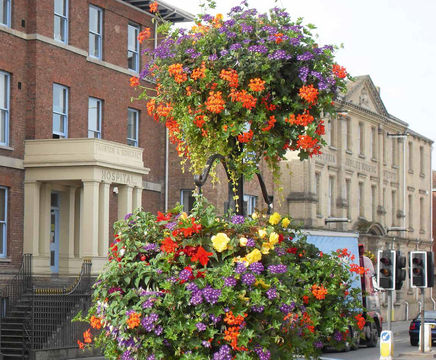 Pole-mounted flower baskets